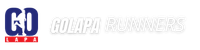 logo header